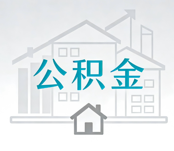 南岸代办行业迎“去中介化”挑战,转型增值服务成破局关键